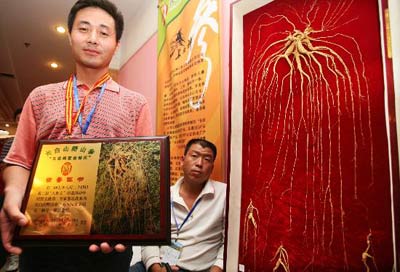 组图:长白山人参王拍卖开出千万天价