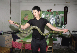 胶东在线 新闻中心 社会 世相万千     两米大王蛇溜进民宅    昨天