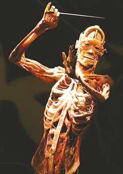 德国医生网上卖干尸每具高达45000英镑图