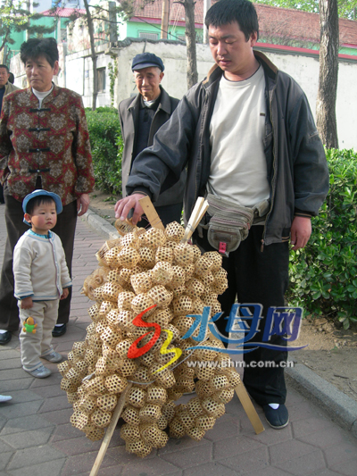 又闻"蝈蝈"叫(图)