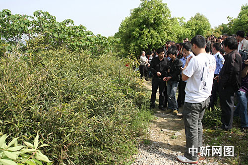 少年先杀女友后分尸 建网络"灵堂"表愧疚(图)