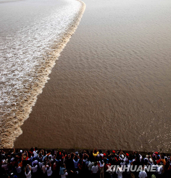 八月十八钱江潮(组图)