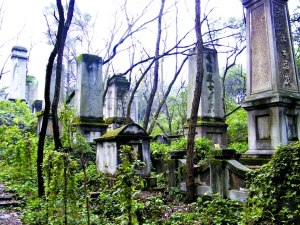 历经40年风雨,承载着一段特定历史的红卫兵墓园去年12月15日被列为