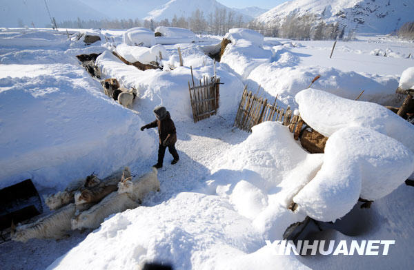 新疆富蕴县:全力抗击冰雪严寒(组图)