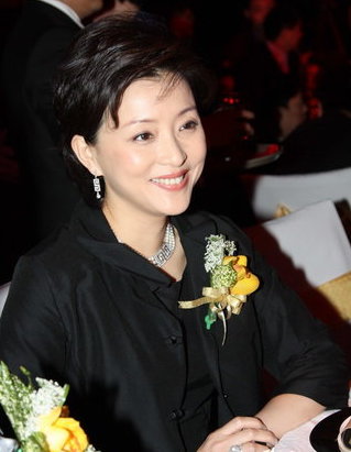 知性女人杨澜的人生情感之路(组图)