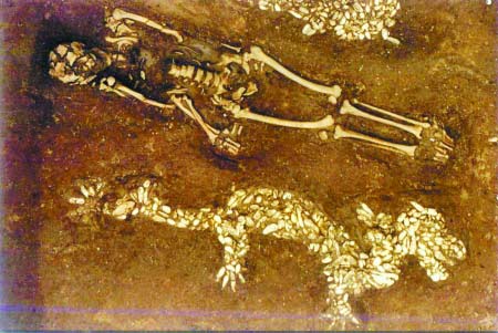 河南蚌壳内现奇异图案 酷似"中华第一龙"(图)