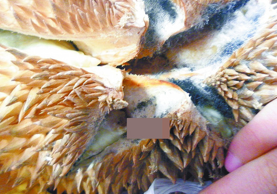 130元买长毛榴莲乐天玛特怪顾客没看仔细图