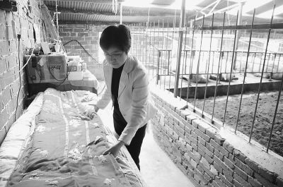 胶东在线 考试 考研 考研动态   1月12日,河南省新野县新甸铺镇石桥村