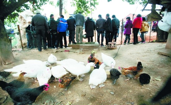 泉州村民挖化粪池挖出古墓 疑为唐代简葬僧人(图)