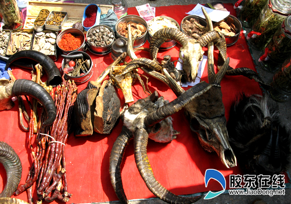 熊掌藏羚羊当街卖 私自兜售野生动物制品属违法