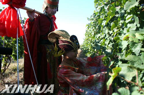 古代唐装礼服,挽着发髻的青年男女,手提竹篮,走进丰收的葡萄园采摘