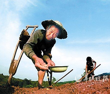 独腿老汉拄拐种田供养两孙儿读书(图)