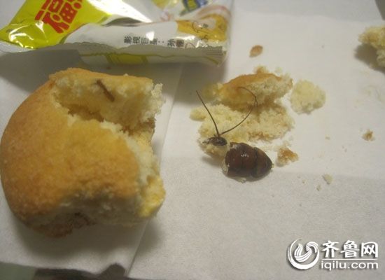 市民食用福马蛋黄派吃出蟑螂(图)