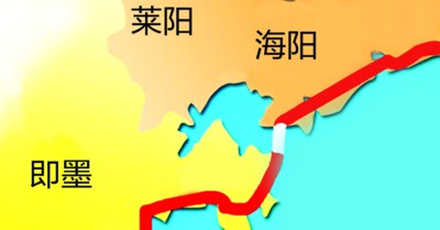 鱼皮炼成"金"一年30亿 丁字湾成南部经济增长极