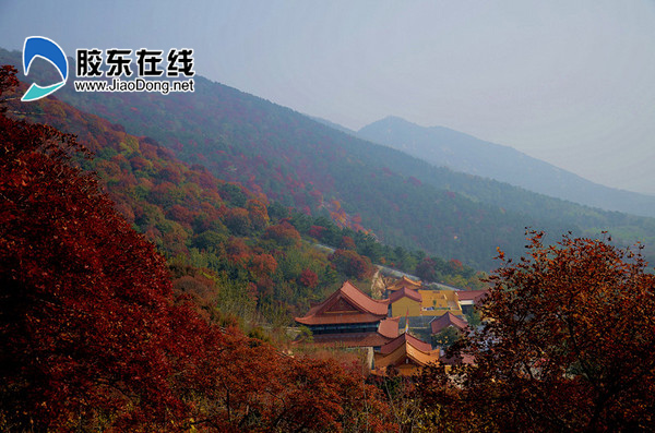 楓葉萊州雲峰山風景區推薦理由:景區因秋楓紅葉,秋色秋韻,神仙洞古蹟