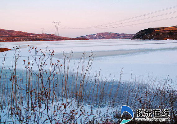 莱州庙埠河水库一夜冰封(图)