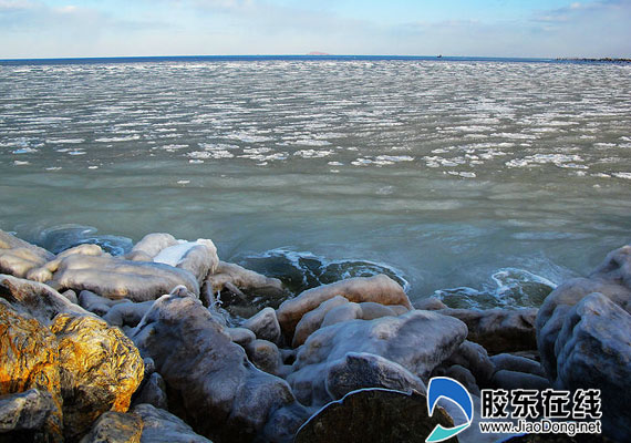 莱州海庙港浮冰连片 正式进入封海期(组图)