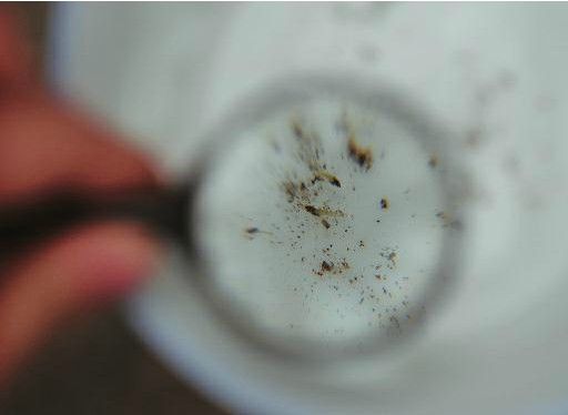 曝光台   "打开水龙头,总能看见有&lsquo;虫卵&rsquo;流出,这段时间