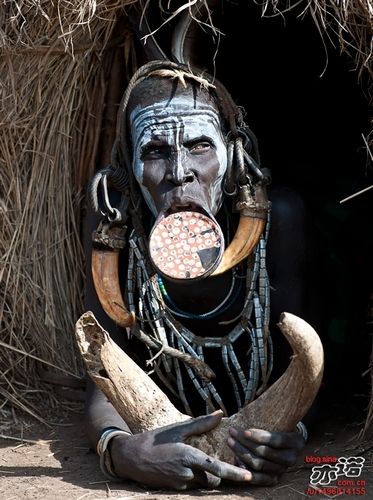 非洲裸体唇盘族:可怕的"大盘子嘴"(图)