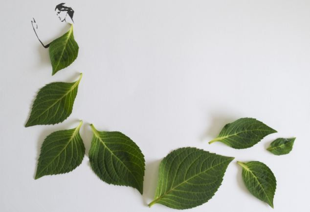 惊叹用树叶拼出来的赫本美妙身姿组图