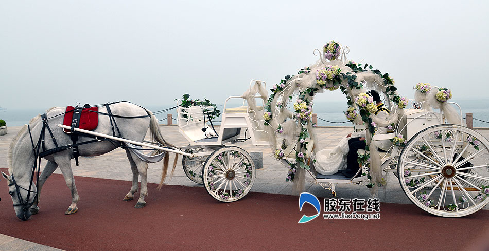 花瓣搭起的帷幔,浪漫而又温馨,高大的白马佩戴红色马鞍,温顺地凝望