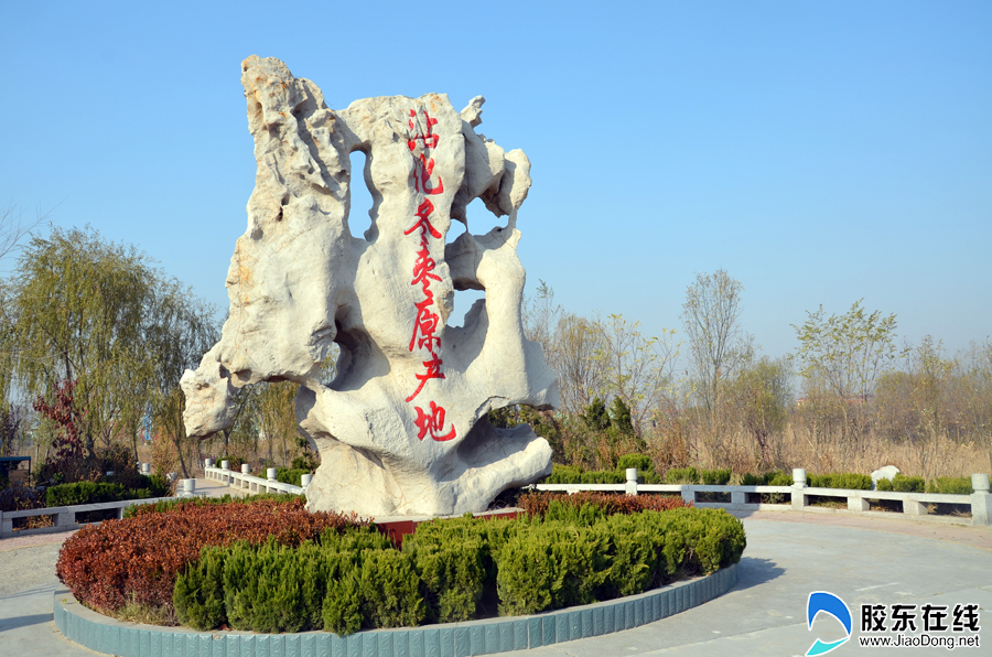 高清图中国首个枣类博物馆沾化冬枣博物馆