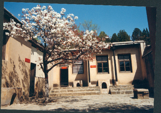 西柏坡旧址导游词3篇