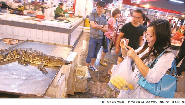 农贸市场卖活鳄鱼数千元1条已卖10多条图
