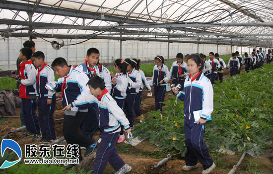 莱阳市实验小学开展实践教育 建构生活大课堂