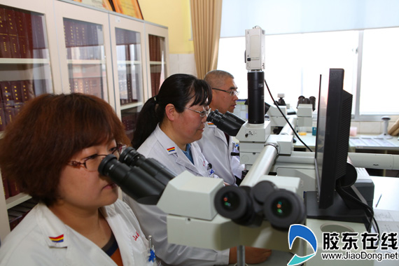 张蔚在显微镜下观察切片