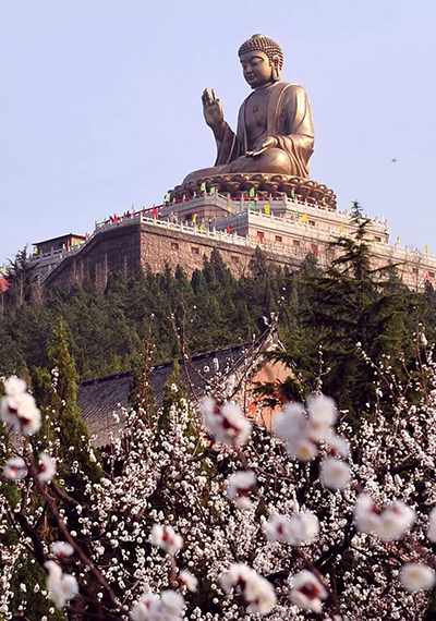 清明假期去龍口南山一起踏青賞花吧_膠東在線旅遊頻道