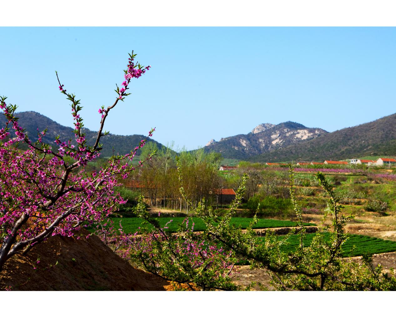 探险围子山享受新生活交通指南:乘坐86路在桐林路南口下车.