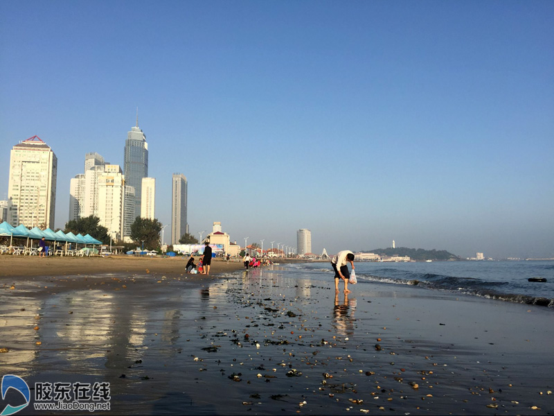 烟台海边退潮沙滩上留下不少吸引人的东西图