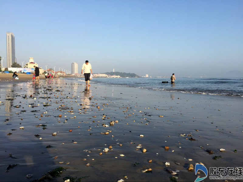 烟台海边退潮沙滩上留下不少吸引人的东西图