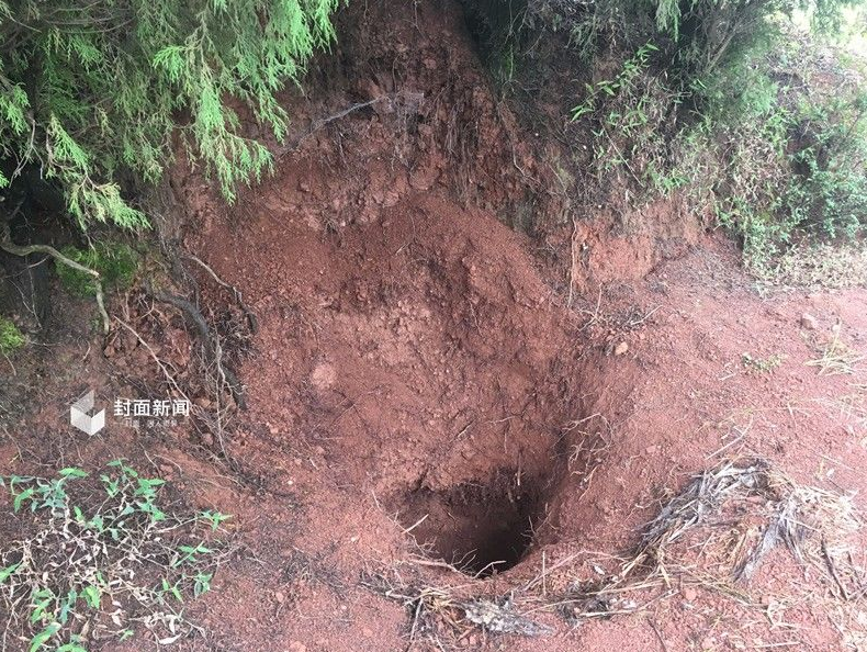 四川"3岁女童被抢案":生母把女儿尸体埋深坑