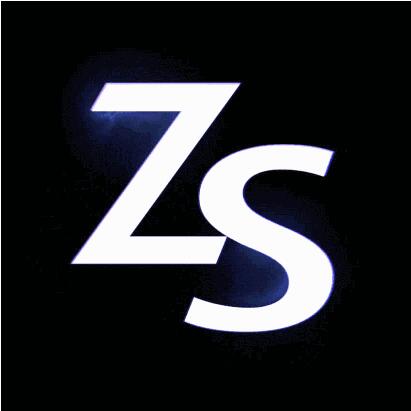 大成集团亲赴广州为大家带来名爵zs实车照片