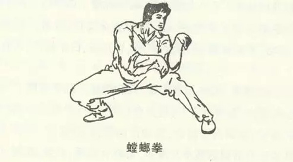 中国螳螂拳的发源地戚继光中国历史上最著名的抗倭英雄蓬莱水城中国