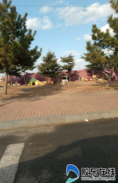 牟平大窑街道绿化带里出现许多违章建筑