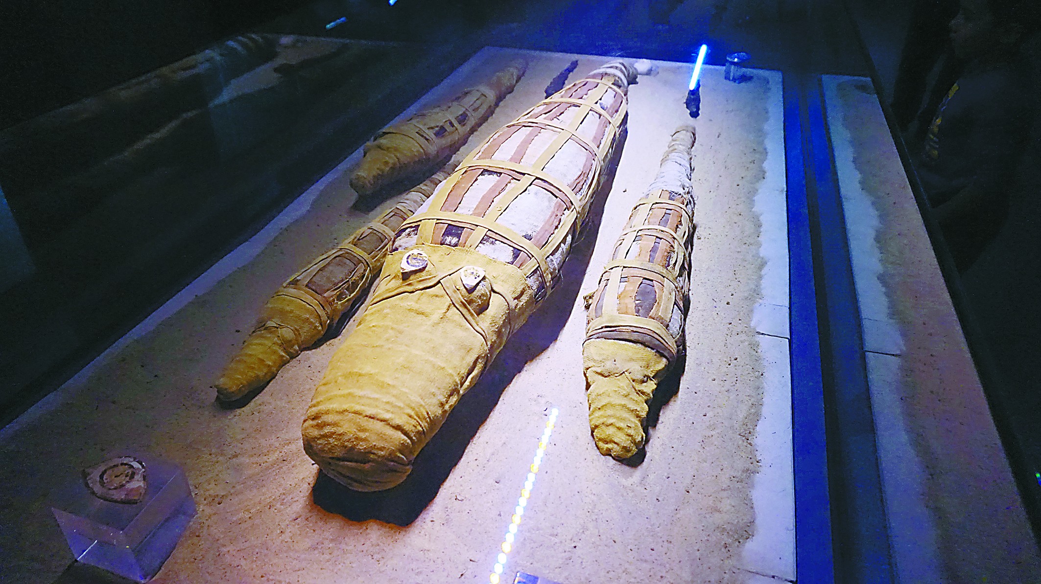 在埃及参观鳄鱼木乃伊博物馆