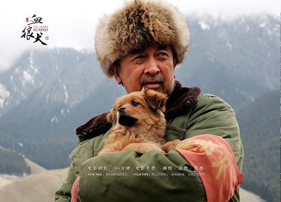 中国西部电影《血狼犬》观影活动在烟台举行