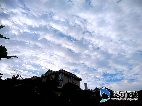 烟台8月8日天气预报:多云转阴 22～30℃ 明有雨
