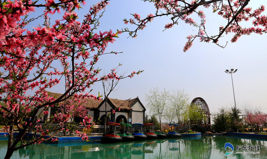 【特色村镇】烟台开发区潮水镇马家沟村:旅游 x