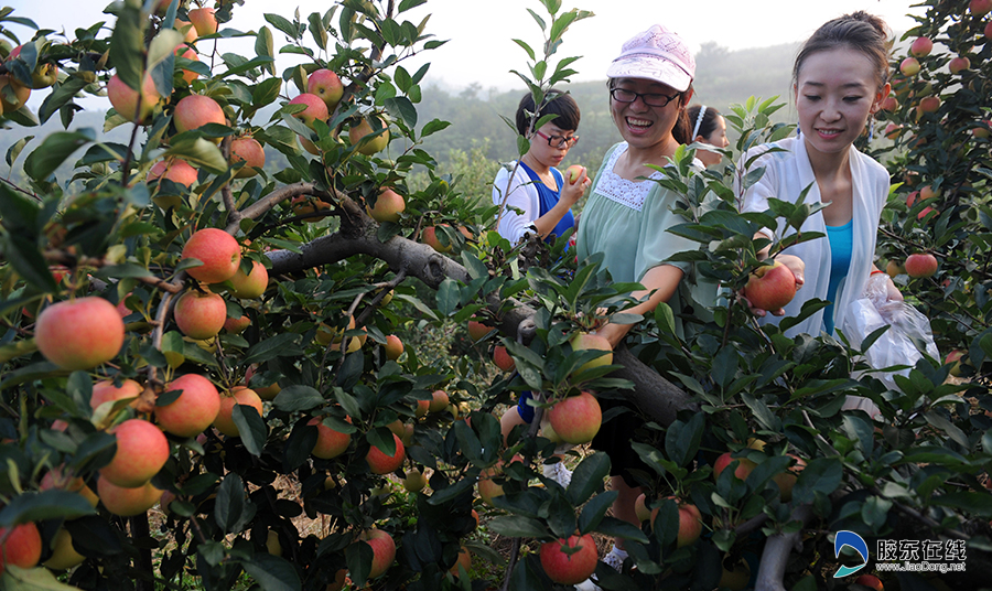 【特色村镇】烟台开发区潮水镇马家沟村:旅游 x