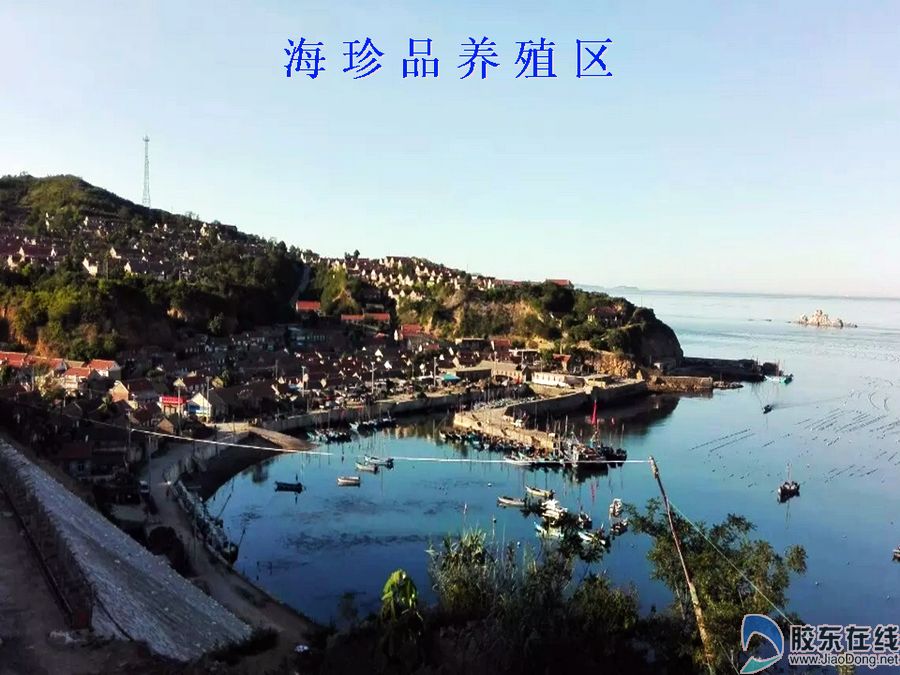 砣矶岛(砣矶岛一日游攻略)