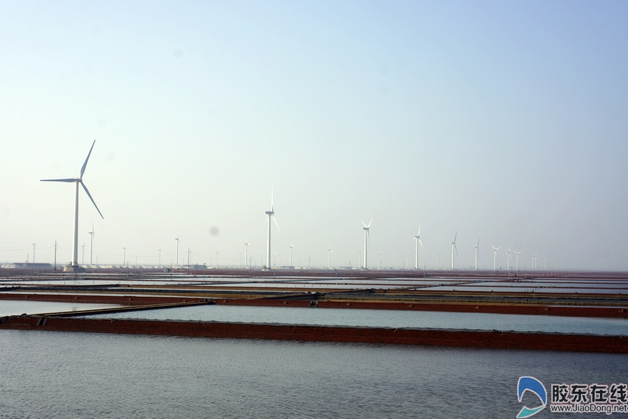 特色小镇莱州市土山镇特色海盐小镇与田园综合体