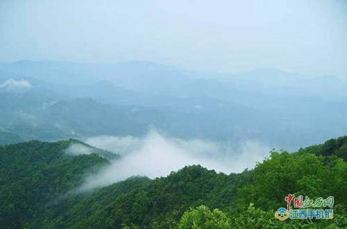 春日景色入佳境 苑前紫瑶山成祈福休闲好去处(多图)