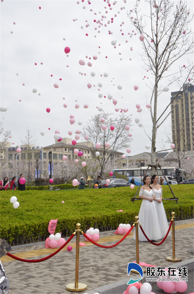 高清:龙湖国际海岸樱花节 3000株樱花开成海