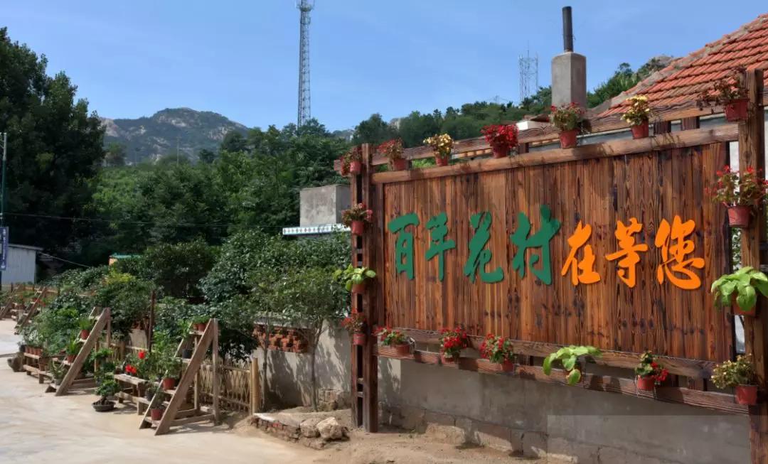 石岛有一处可体验四季乡愁的绝佳胜地