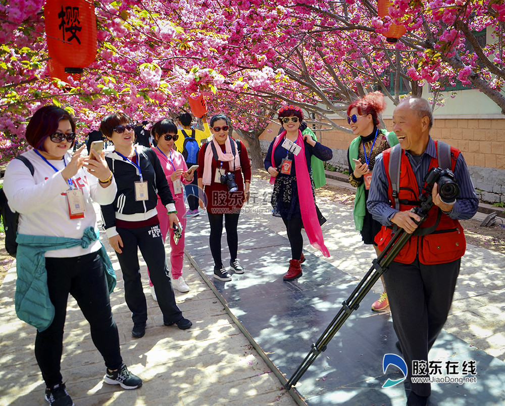 《"全国美丽宜居村庄"—莱阳市姜疃镇濯村》(孙厚利)