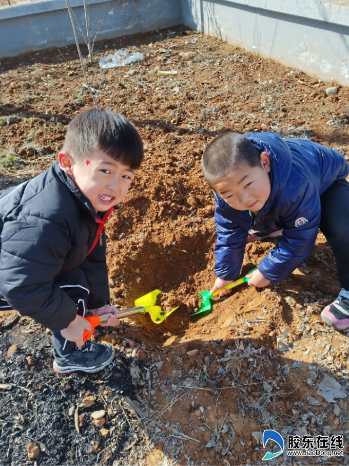 春風十里 播種綠色——棲霞經濟開發區中心幼兒園植樹節掠影